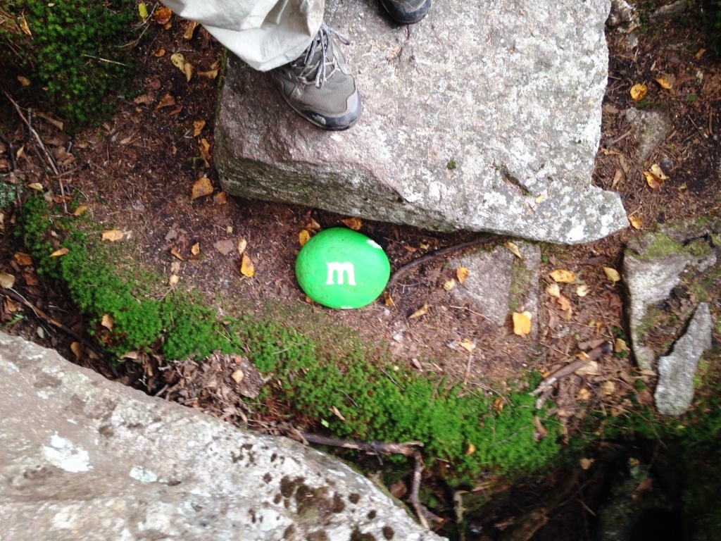 Someone painted a round rock into a green M&MO.